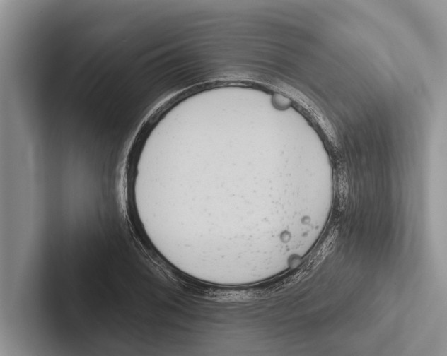 X0000102531076200809051504