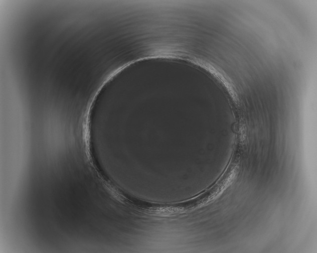X0000102531077200809051504