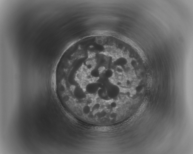 X0000102531079200809051504