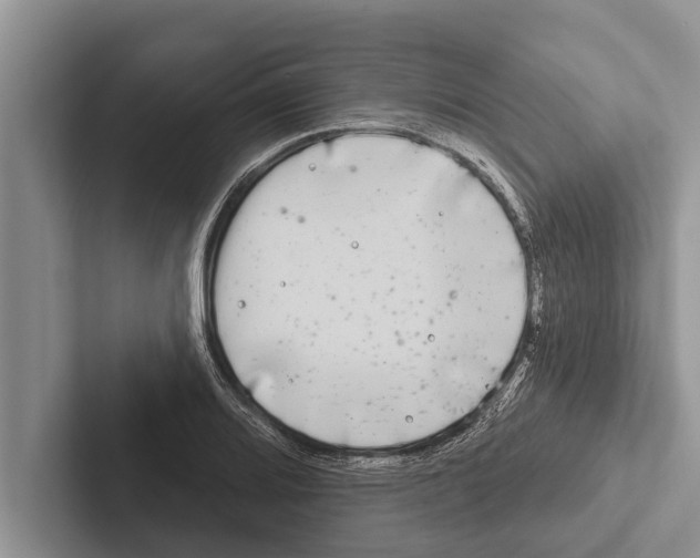 X0000102531080200809051504
