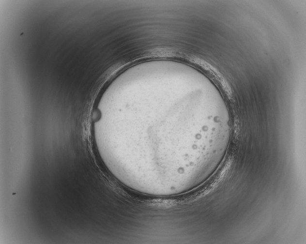 X0000102531081200809051504