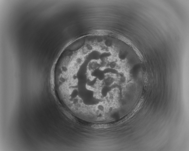 X0000102531083200809051504
