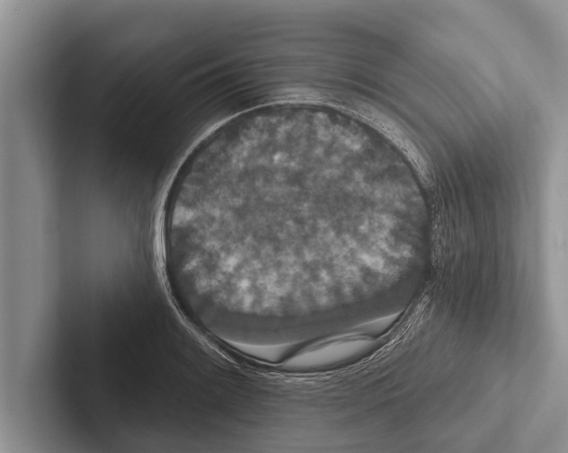 X0000102531084200809051504