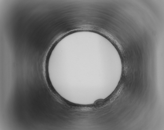 X0000102531085200809051504