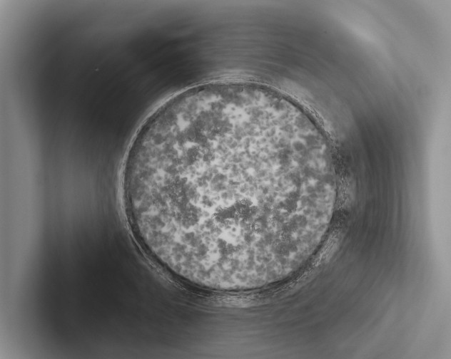 X0000102531086200809051504