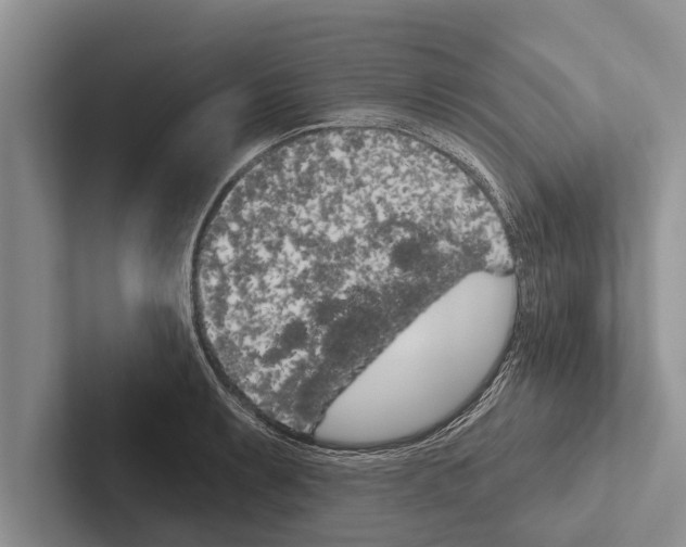 X0000102531087200809051504