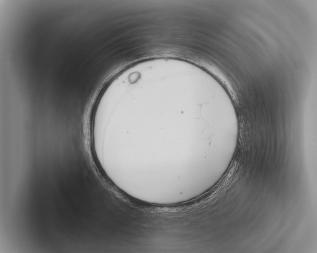 X0000102531088200809051504