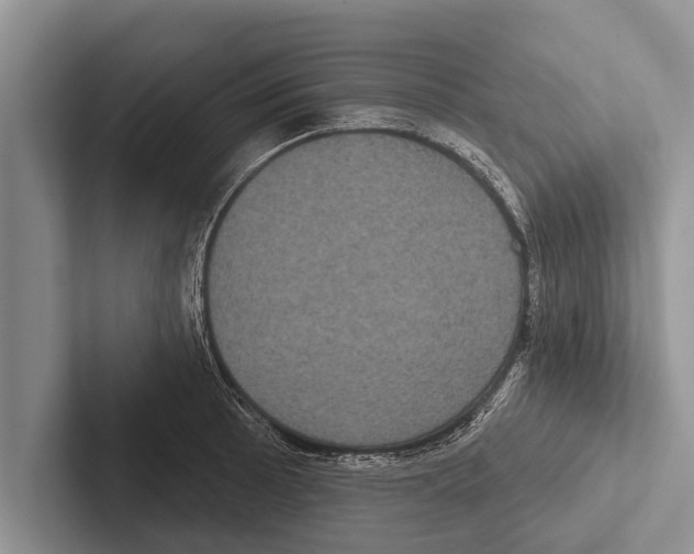 X0000102531089200809051504
