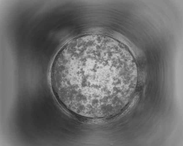X0000102531090200809051504