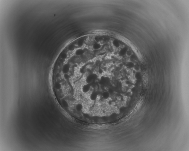 X0000102531091200809051504
