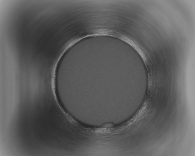 X0000102531093200809051504