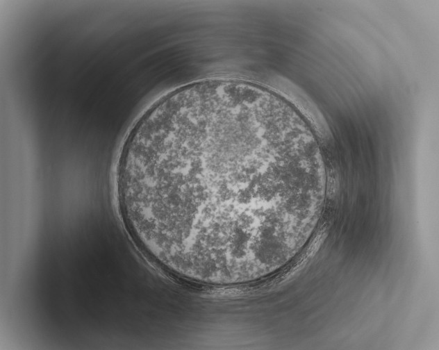 X0000102531094200809051504