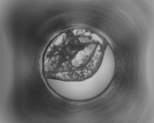 X0000102531095200809051504