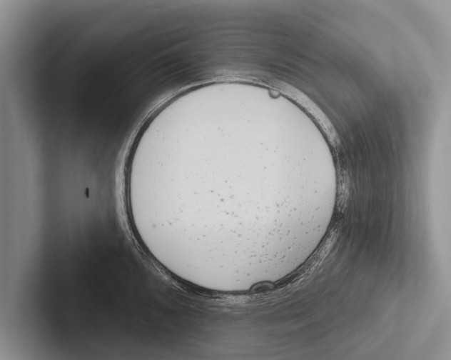 X0000102531096200809051504