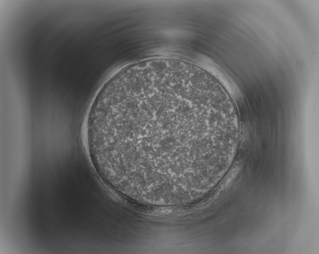 X0000102531098200809051504