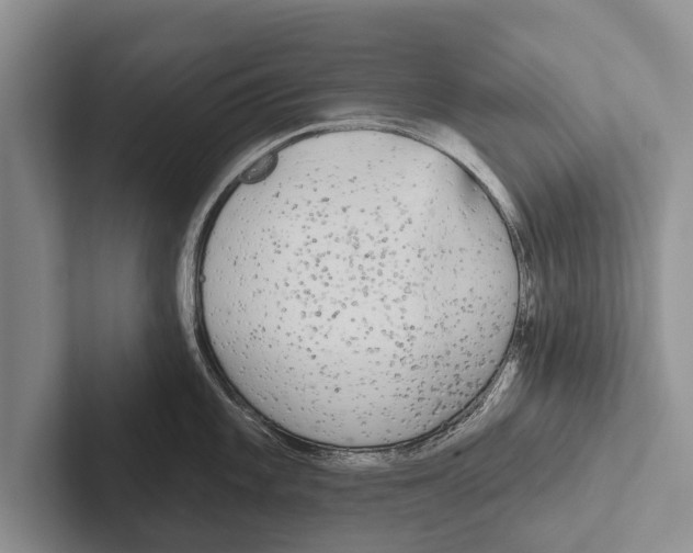 X0000102531101200809051504
