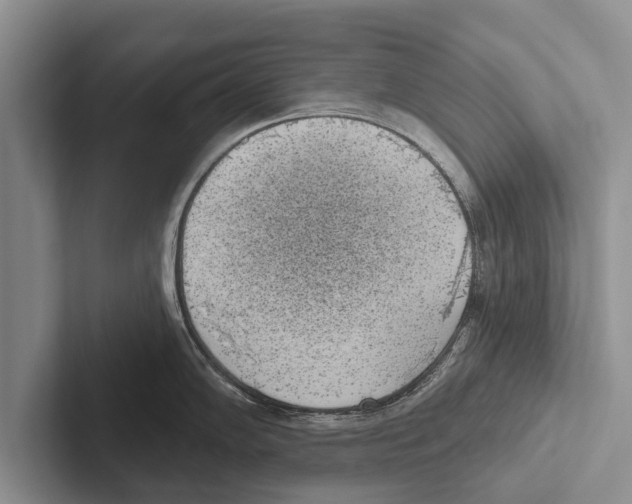 X0000102531102200809051504
