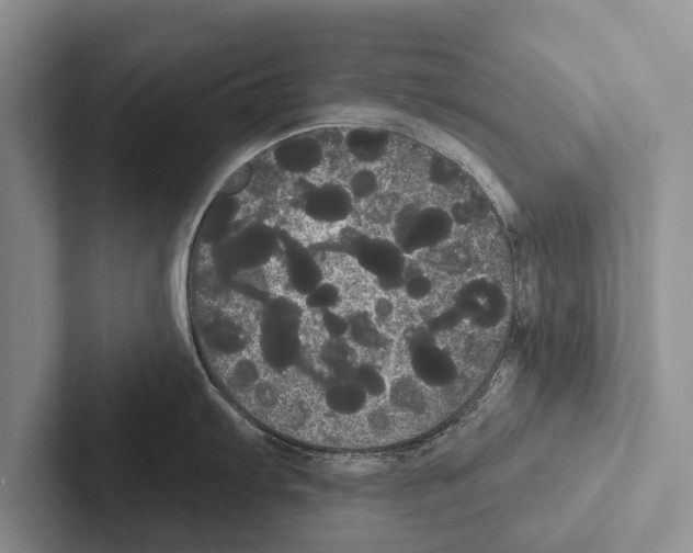 X0000102531103200809051504