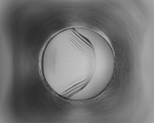X0000102531104200809051504