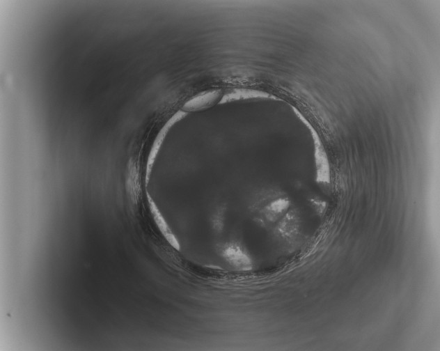 X0000102531106200809051503