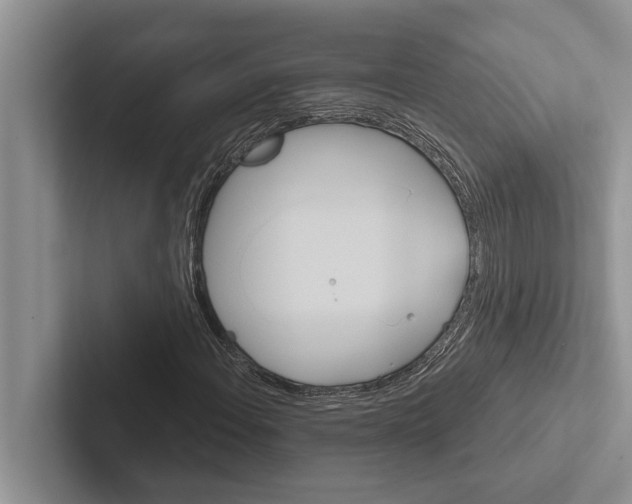 X0000102531108200809051503