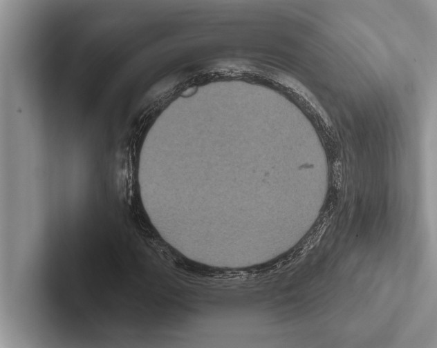 X0000102531111200809051503