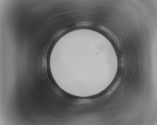 X0000102531113200809051503