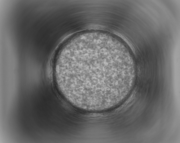 X0000102531115200809051503