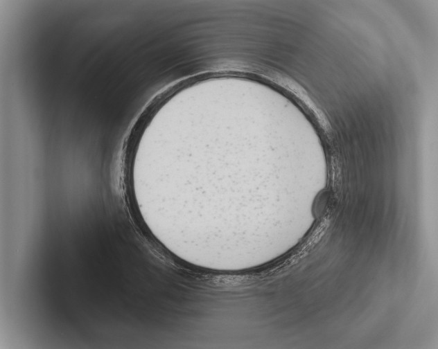 X0000102531116200809051503