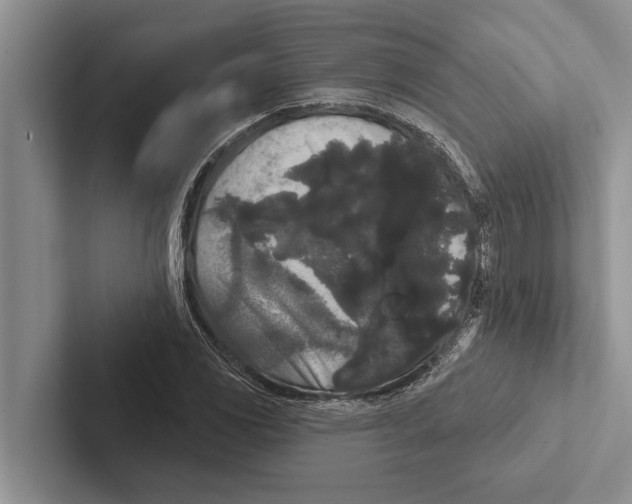 X0000102531117200809051503
