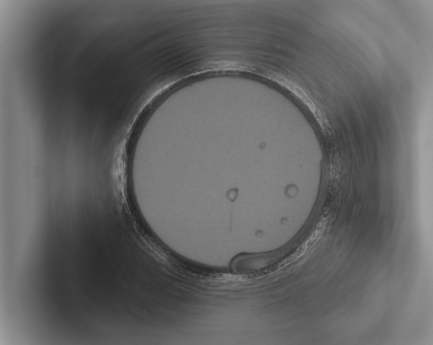 X0000102531119200809051503