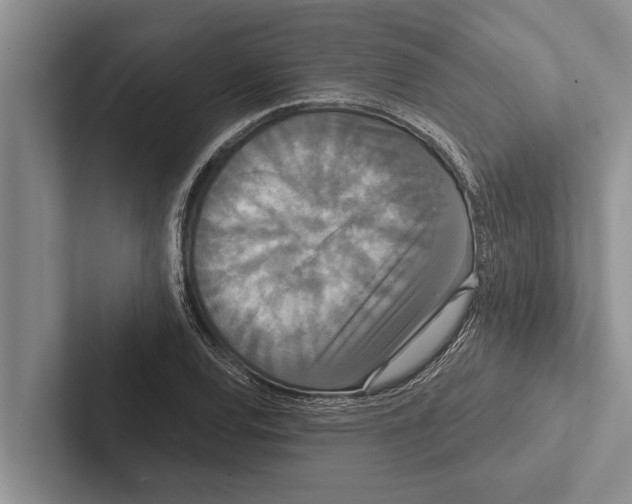 X0000102531120200809051503