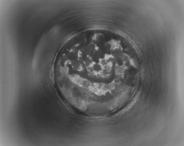 X0000102531121200809051503