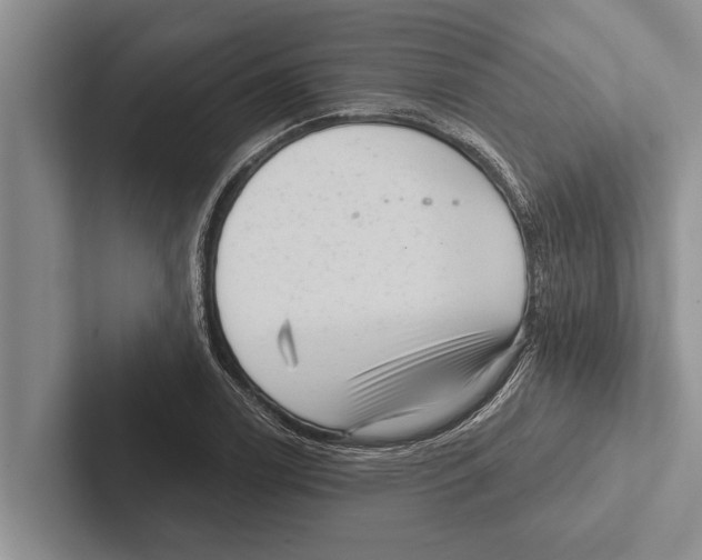 X0000102531122200809051503