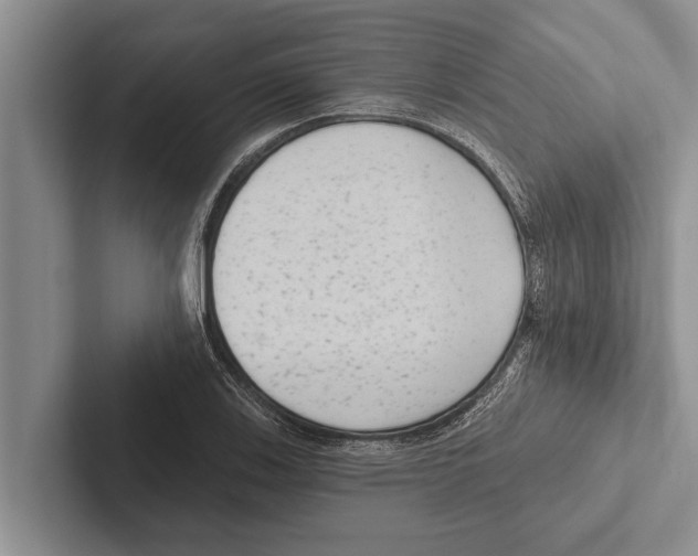 X0000102531123200809051503