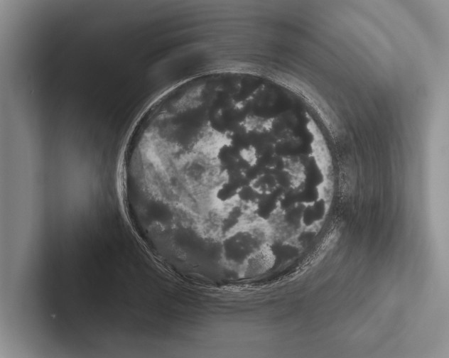 X0000102531125200809051503