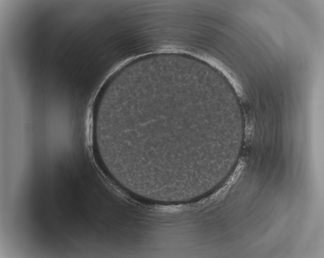 X0000102531126200809051503