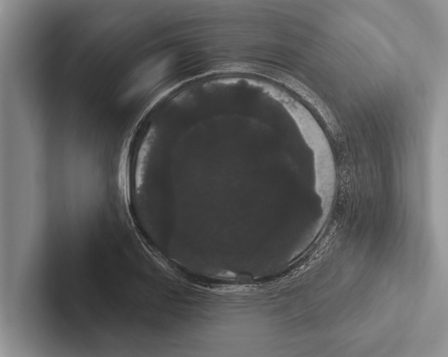 X0000102531127200809051503
