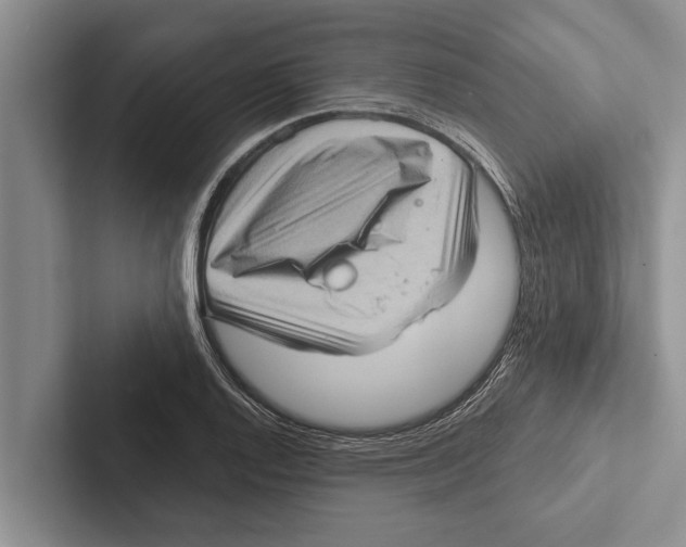 X0000102531128200809051503