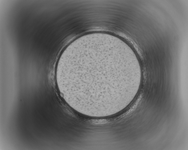 X0000102531129200809051503