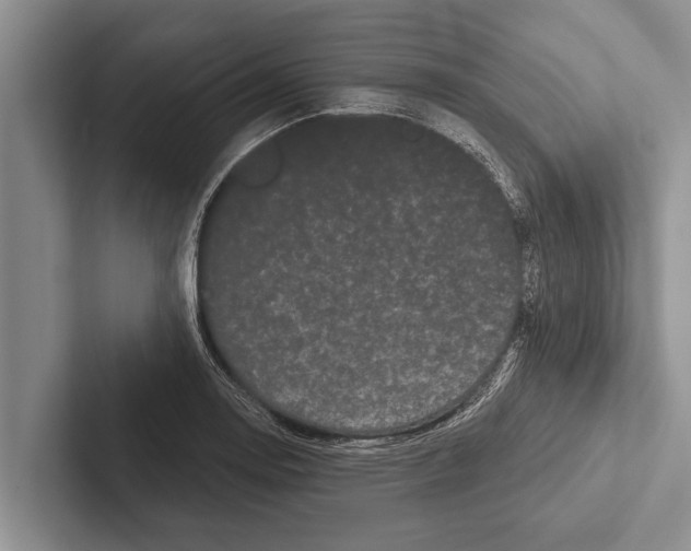 X0000102531130200809051503
