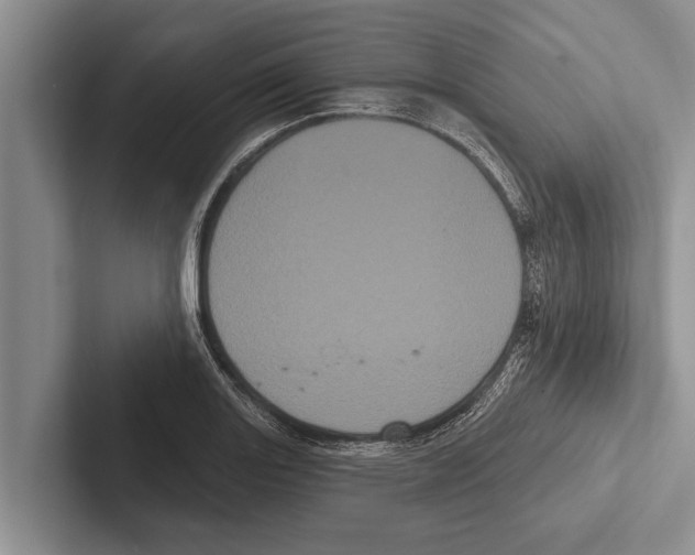 X0000102531131200809051503
