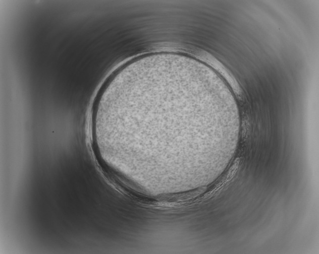 X0000102531132200809051503
