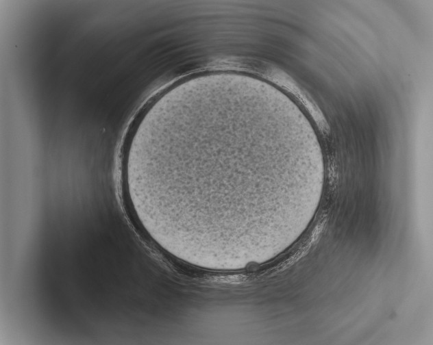 X0000102531133200809051503