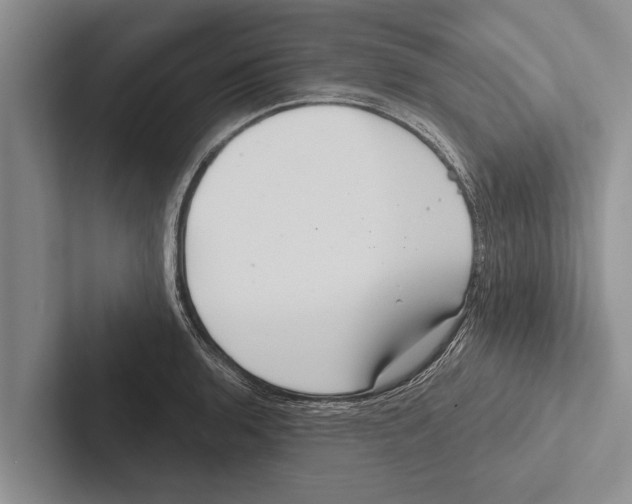 X0000102531136200809051503