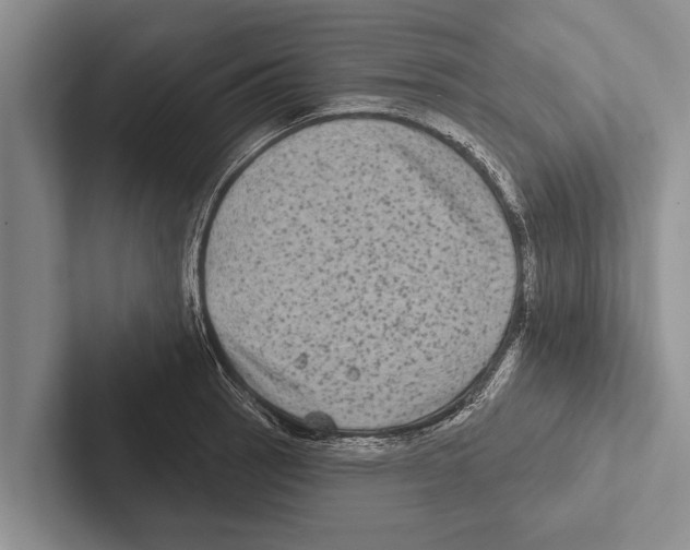 X0000102531137200809051503