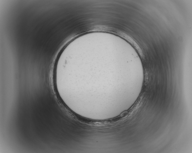 X0000102531138200809051504