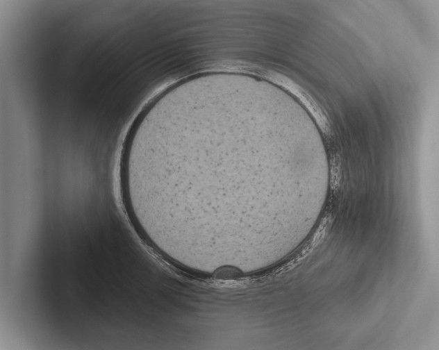 X0000102531139200809051504