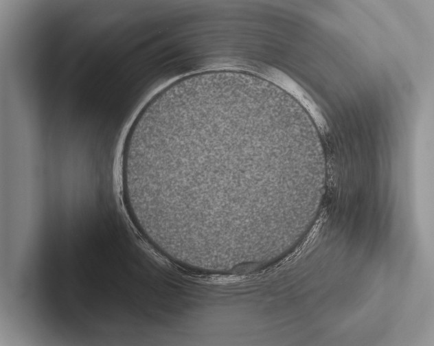X0000102531140200809051504