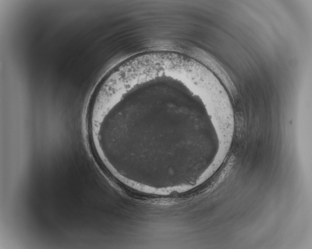 X0000102531141200809051504